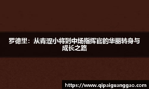 易游体育app